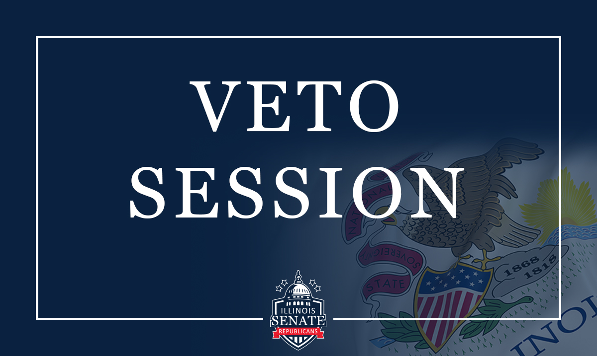 Week-in-Review: Veto session update