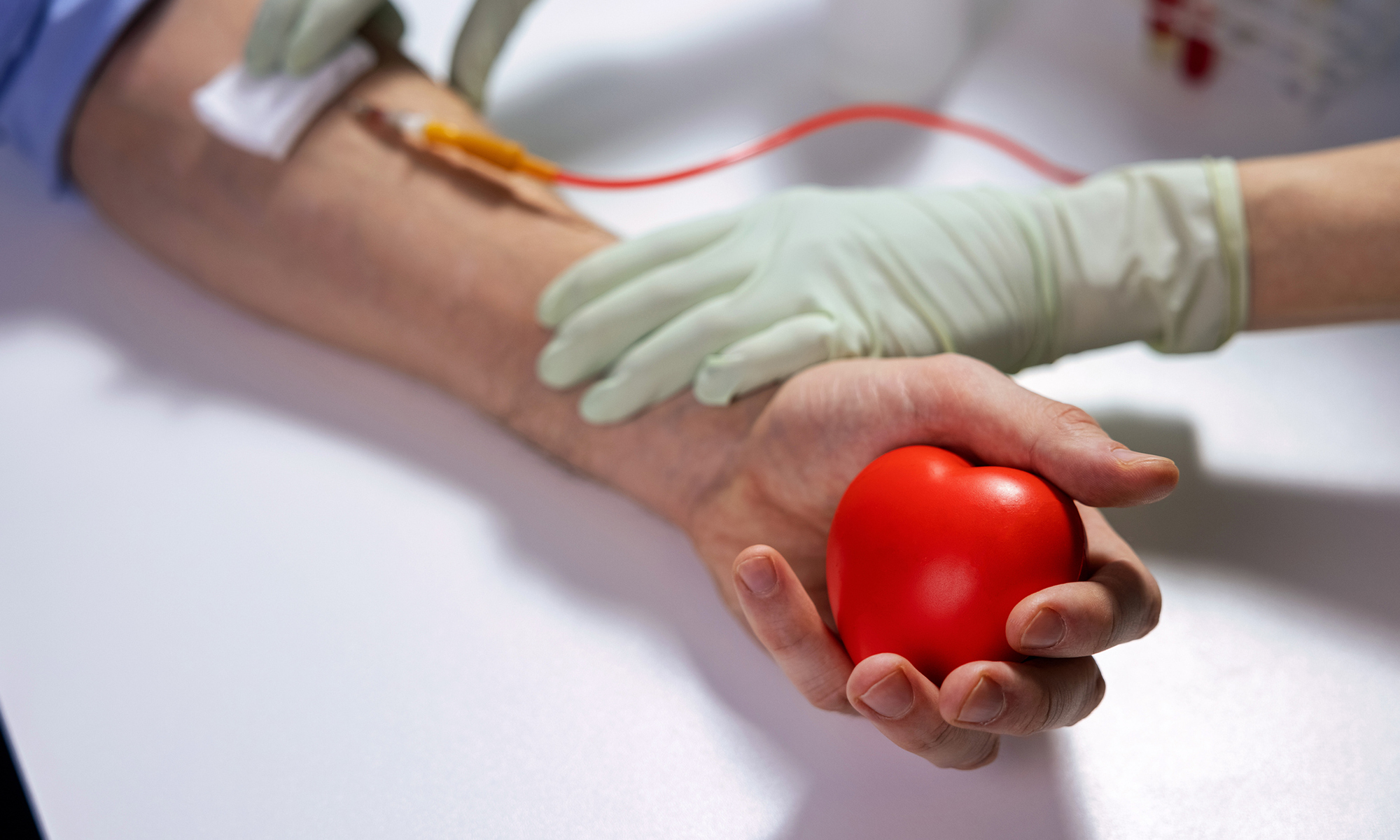Senator Fowler hosts Blood Drive in Marion