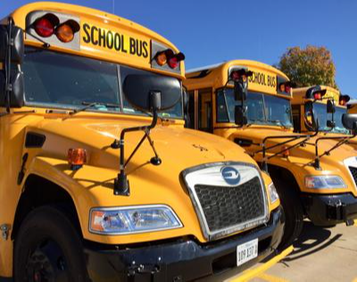 School bus safety reminder