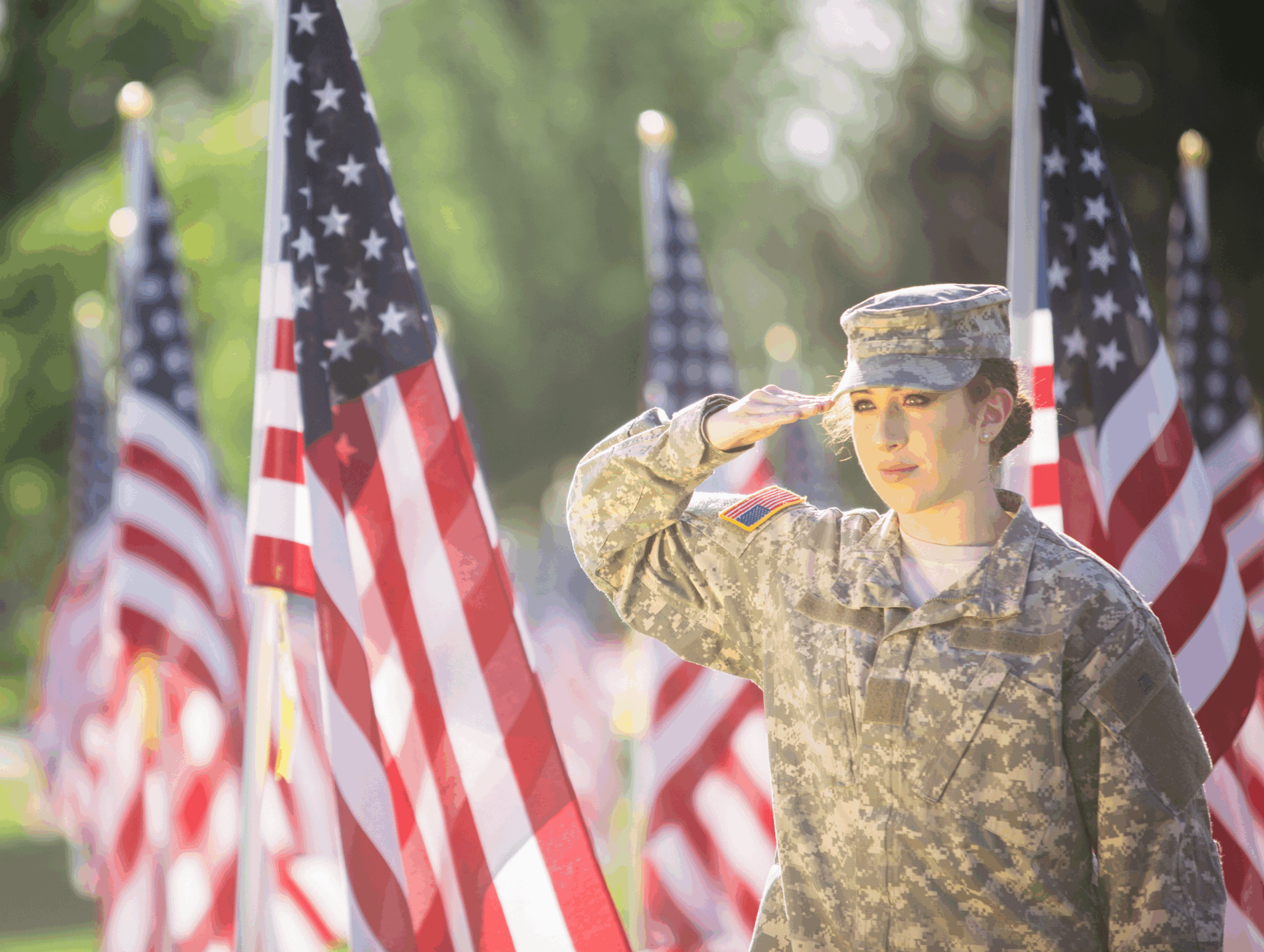 Senator Fowler Invites Families to Honor Their Veterans in Illinois Capitol Rotunda Display