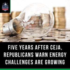 Five Years After CEJA, Republicans Warn Energy Challenges Are Growing